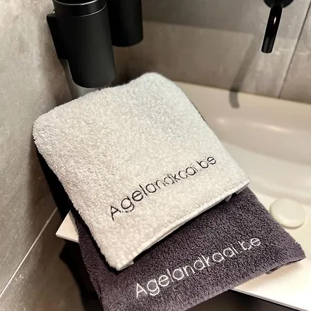 Agelandkaai Ghent